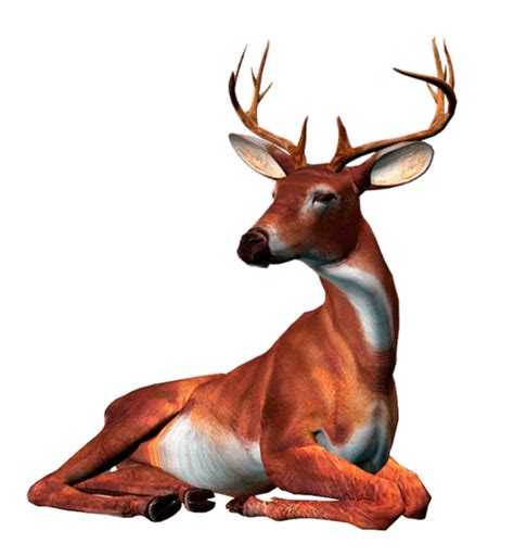 Deer Animated Pictures