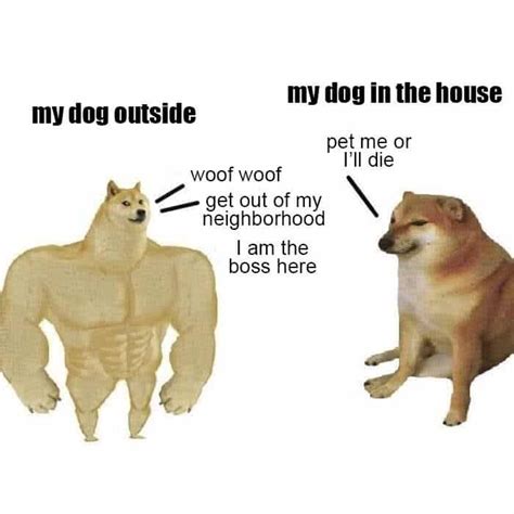Doge Meme Template Cheems All Doge And Cheems Meme Templates