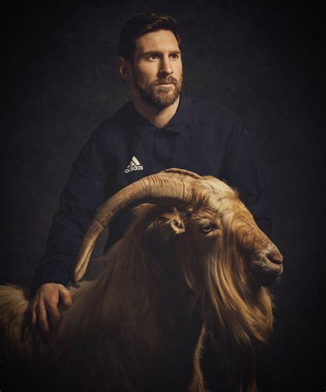 goat sepak bola