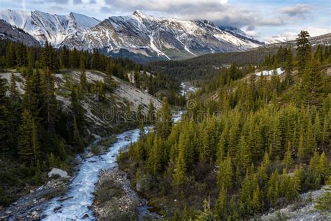 Landscape Of The Icefield Parkway In Jasper National Park Of Canada