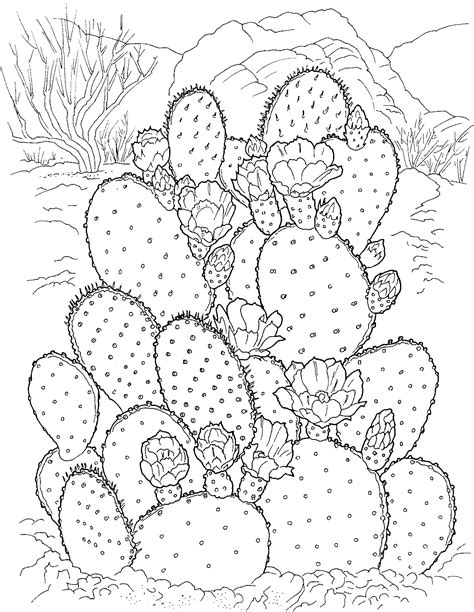 Https://techalive.net/coloring Page/adult Coloring Pages Cactus
