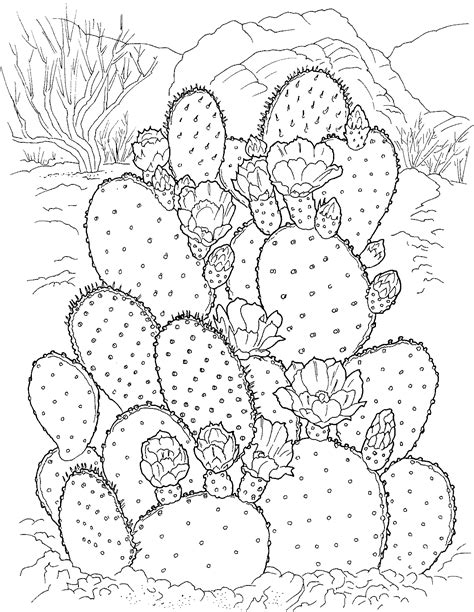 Free download 40 best quality saguaro cactus coloring page at getdrawings. Free Printable Cactus Coloring Pages For Kids