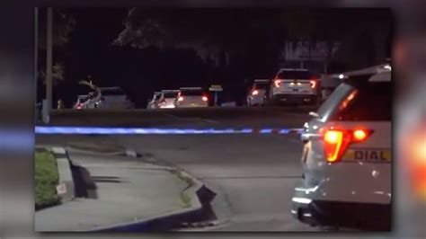 Police Shoot Kill Felony Sexual Battery Suspect Who Barricaded Himself Inside Pickup Truck