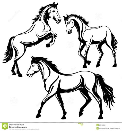 Horse Stock Vector Illustration Of Pure Mare Arabian 32249655