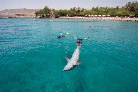 Top 10 Essential Things To Do In Eilat