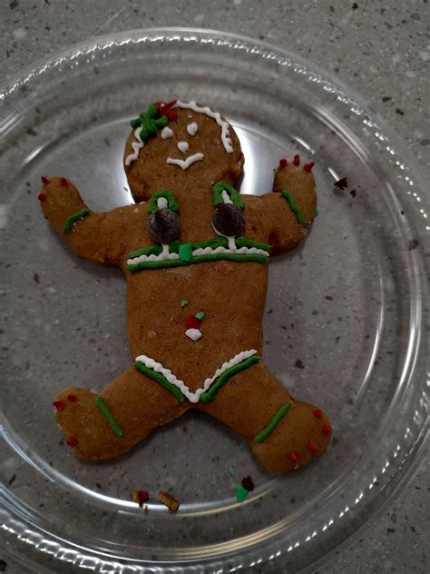 Lifewithjenn On Twitter Anyone Like My Gingerbread Lady I Couldnt Eat The Boobs But My