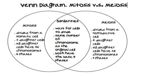 Congratulations on completing this webquest. #Mitosis vs #Meiosis Venn Diagram Comparing and ...