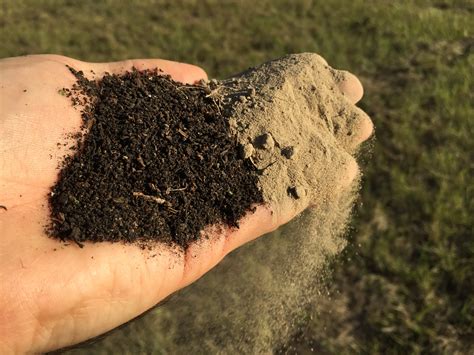 4 Steps To Building Healthy Soil Homegrown Liberty