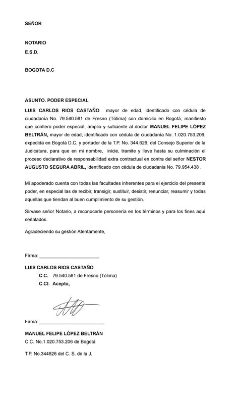 Modelo De Carta Poder Penal Para Abogado En Paraguay Kulturaupice My