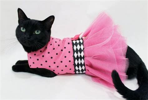 Pink And Black Outfits Coolcats Pink And Black Polka Dot Cat Tutu