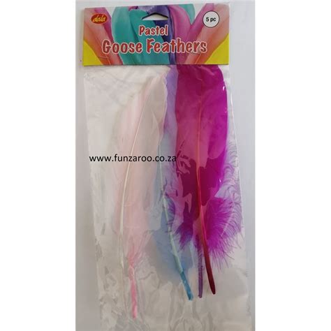 Dala Feathers Goose Pastel Colours 5pc