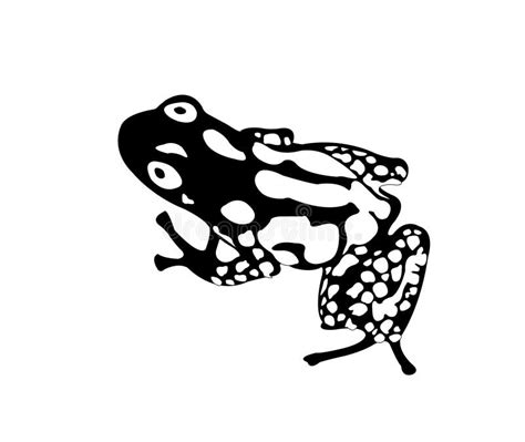 Amphibian Silhouette Frog Illustration Stock Vector Illustration Of