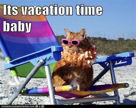 Its Vacation Time Baby And You Can Quote Me On That Funny Cats