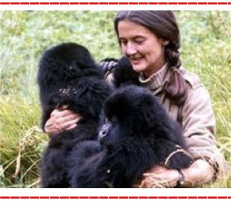 The story of dian fossey, a scientist who came to africa to study the vanishing mountain gorillas, and later fought to protect them. Vampiro Erudito: Dian Fossey