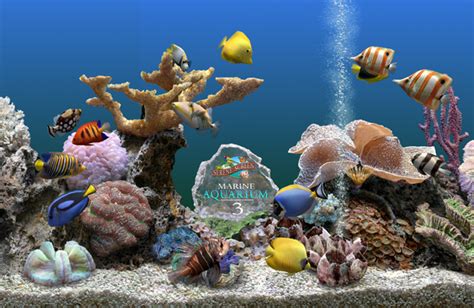 49 Saltwater Fish Wallpaper And Screensavers On
