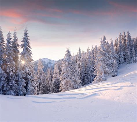 Beautiful Winter Landscape In Mountains Sunrise Stock