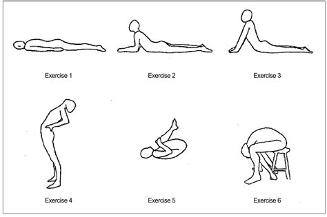 Exercise Plan For Chronic Back Pain Knotry