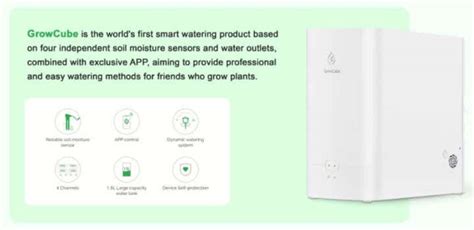 Review Of Growcube Smart Plant Watering