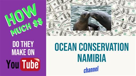 How Much Does Ocean Conservation Namibia Make On Yt Youtube