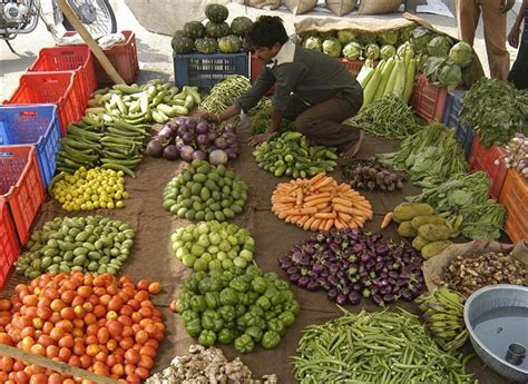 Kerala To Ban Vegetables Fruits With High Pesticide Business