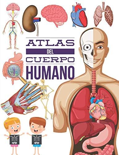 Atlas Del Cuerpo Humano Cuerpo Humano Anatomia Descubre El Cuerpo