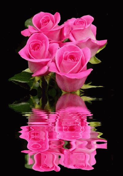 Decent Image Scraps Animated Roses Flowers  Amazing Flowers