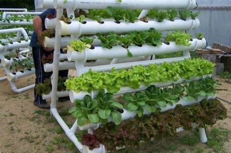 The ideal ph level for water used in a hydroponic system is between 5.8 and 6.2 (slightly acidic). 100+ Awesome PVC Projects & Plans | Vertical vegetable ...