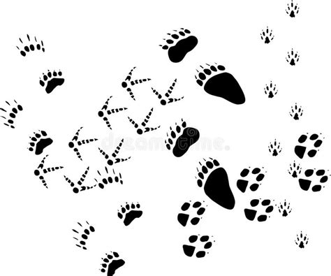 Dierlijke voetafdrukken silhouetten iconen | gratis download. Tierspuren auf Weiß vektor abbildung. Illustration von tatzen - 15561774