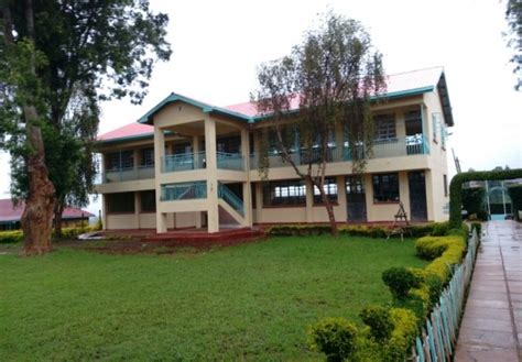 Nyeri High School Kcse Performance Location Contacts And Admissions
