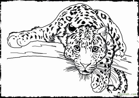 Free Coloring Page Animals Realistic In 2020 Detailed Coloring