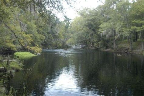 O'leno state park is one of florida's first state. O'Leno State Park Dogwood Campground, High Springs, FL ...