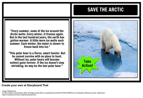 Where Do Polar Bears Live By Sarah Thomson Psa Use Storyboard That