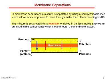 Ppt Membrane Separations Powerpoint Presentation Free To View Id