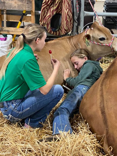 Dairy Heifer Program Participants Showcase Threemile Canyon Farms