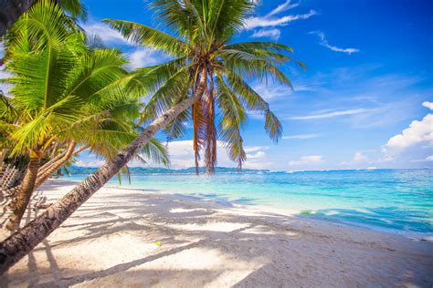 Best Caribbean Beaches To Visit Isle Blue