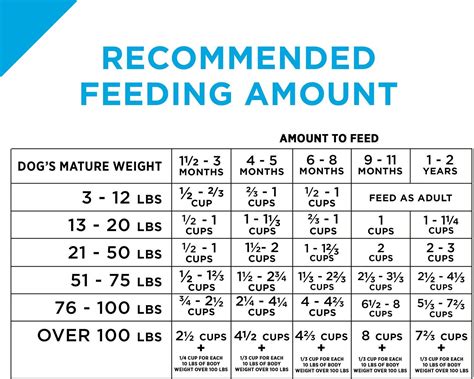 Dog Feeding Chart Guide