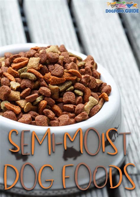 Choosing A Semi Moist Dog Food Know The Best 2022 Brands