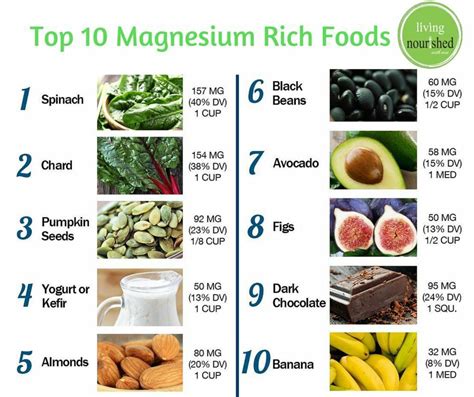 top 10 magnesium rich foods magnesium rich foods food 10 things