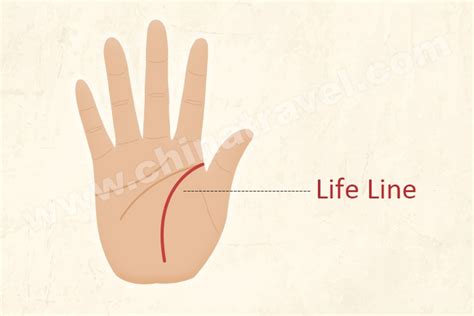 How To Read Life Line On Palm Life Line Palm Reading Guide