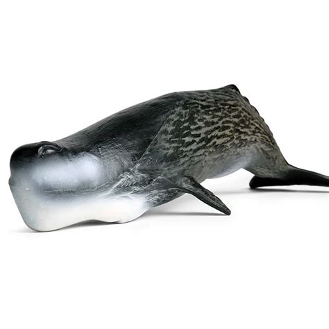 Big Size Spermacet Whale Animal Figure Collectible Toys Sea Animal