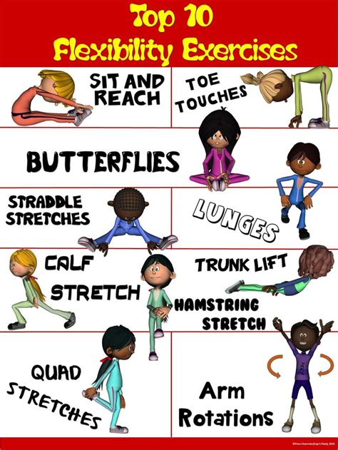 Pe Poster Top 10 Flexibility Exercises Pe Physical Literacy