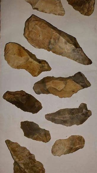 Image Result For Paleo Indian Artifacts Native American Tools Native
