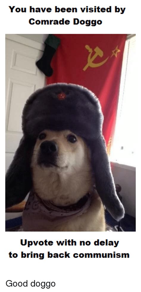 25 Best Memes About Comrade Doggo Comrade Doggo Memes