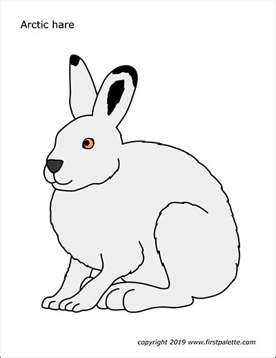 Hare Free Printable Templates And Coloring Pages