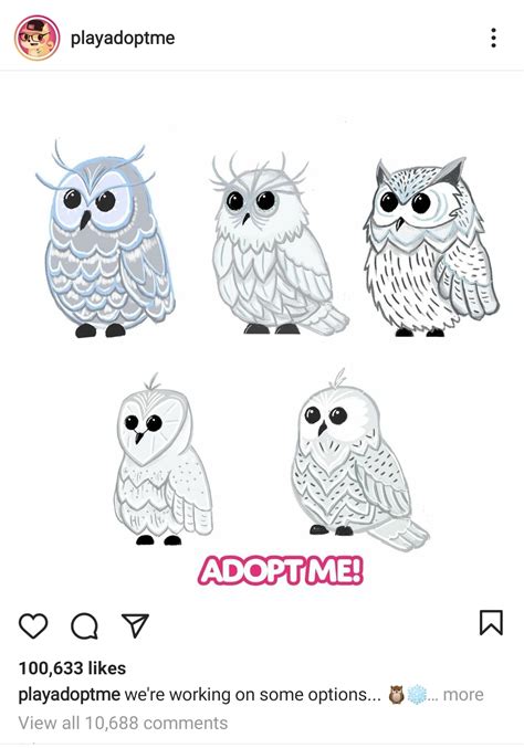 How To Draw Adopt Me Pets Owl