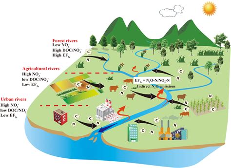 Indirect Nitrous Oxide Emission Factors Of Fluvial Networks Can Be