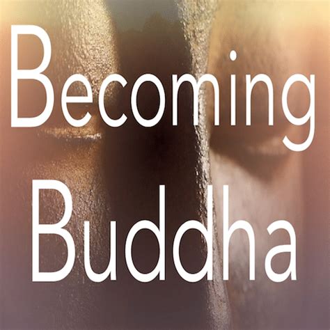 Understanding Anicca Anatta And Dukkha Becoming Buddha