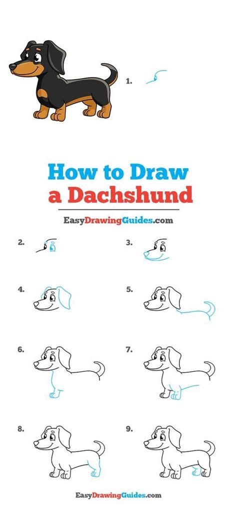 How To Draw A Dachshund Step By Step At Drawing Tutorials