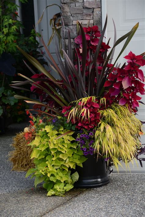 9 Ways To Refresh Your Summer Container Gardens For Fall Dana Davis