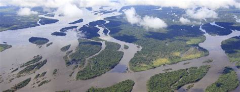 Top 11 Widest Rivers In The World Smapse